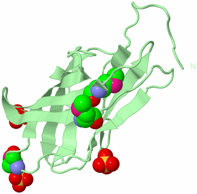 Image Biological Unit 2