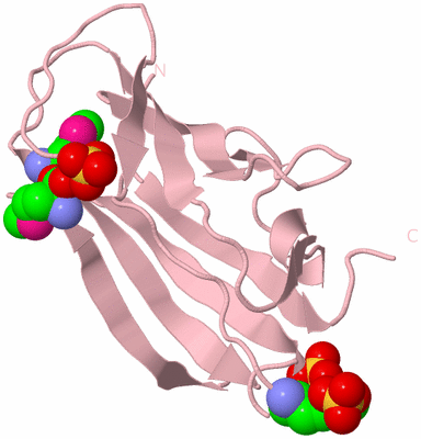 Image Biological Unit 3