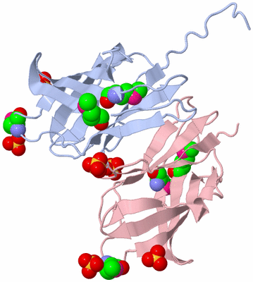 Image Biological Unit 4