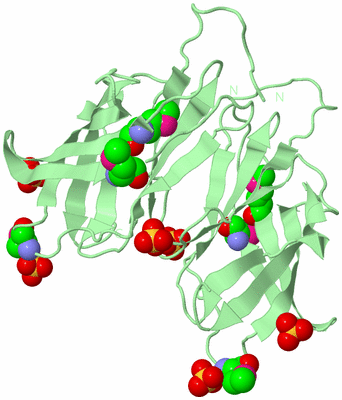 Image Biological Unit 5