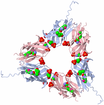 Image Biological Unit 6