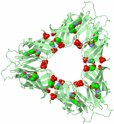 Image Biological Unit 7