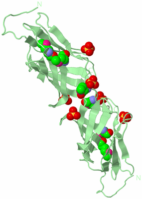 Image Biological Unit 8