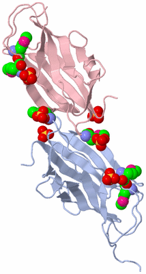 Image Biological Unit 9