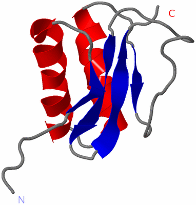 Image NMR Structure - model 1