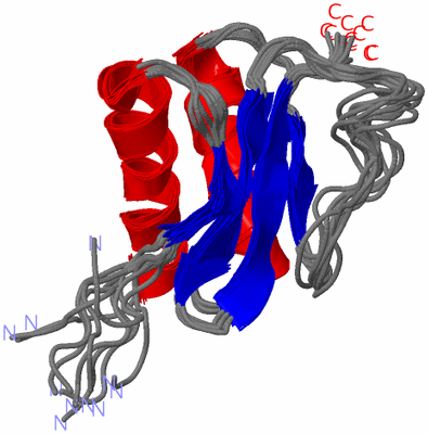 Image NMR Structure - all models