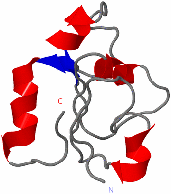 Image NMR Structure - model 1