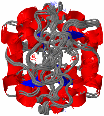 Image NMR Structure - all models
