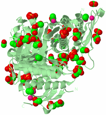 Image Biological Unit 2