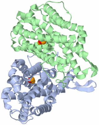 Image Asym./Biol. Unit