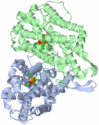 Image Asym./Biol. Unit - sites