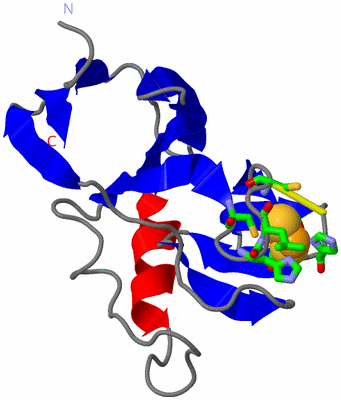 Image Asym./Biol. Unit - sites