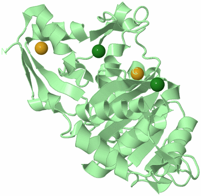 Image Biological Unit 2