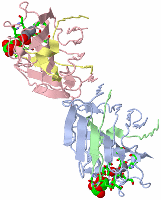 Image Biol. Unit 1 - sites