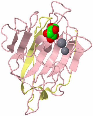 Image Biological Unit 3