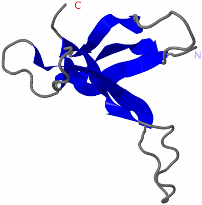 Image NMR Structure - model 1