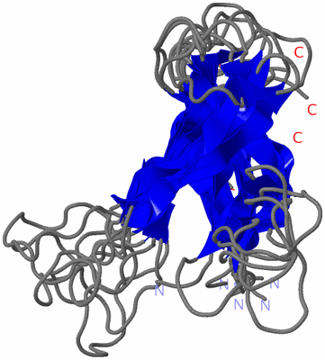 Image NMR Structure - all models