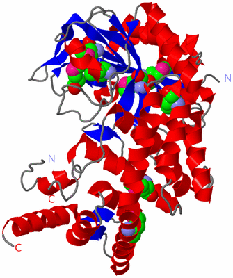 Image Asym./Biol. Unit