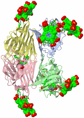 Image Asym./Biol. Unit - sites
