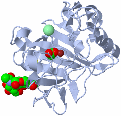 Image Biological Unit 1