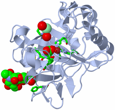 Image Biol. Unit 1 - sites
