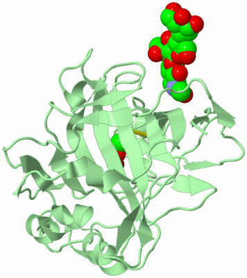 Image Biological Unit 2