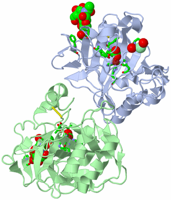 Image Asym. Unit - sites