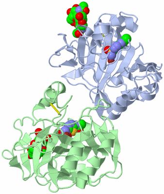 Image Asymmetric Unit