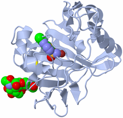 Image Biological Unit 1