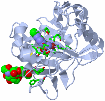 Image Biol. Unit 1 - sites