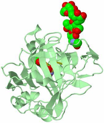 Image Biological Unit 2