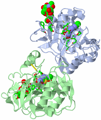 Image Asym. Unit - sites
