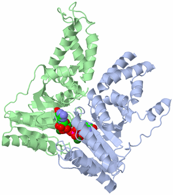 Image Asym./Biol. Unit