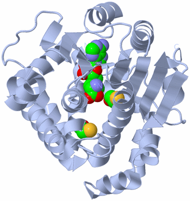 Image Biological Unit 1