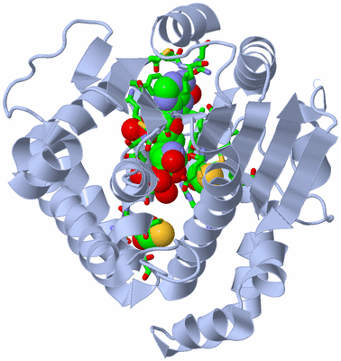 Image Biol. Unit 1 - sites