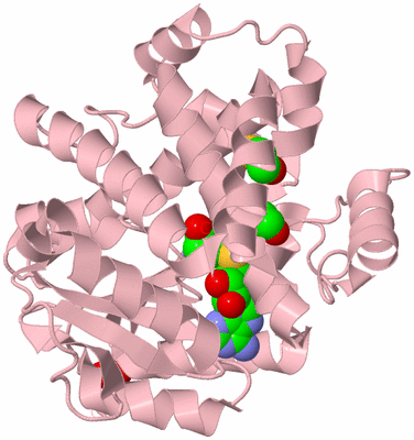 Image Biological Unit 3