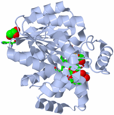 Image Biol. Unit 1 - sites