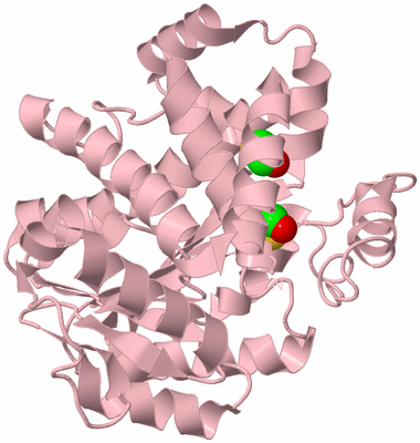 Image Biological Unit 3