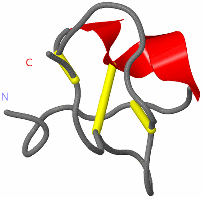 Image NMR Structure - model 1