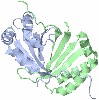 Image NMR Structure - model 1