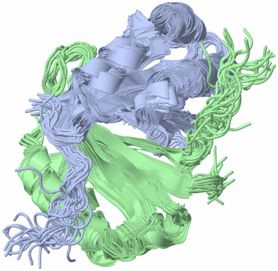 Image NMR Structure - all models