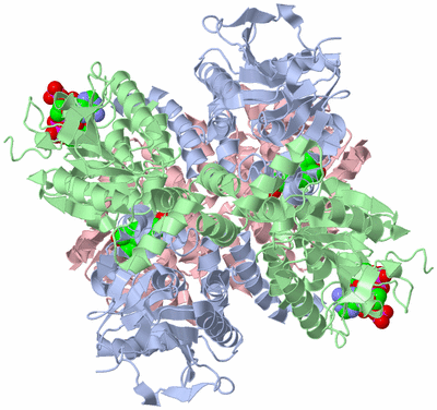 Image Biological Unit 1