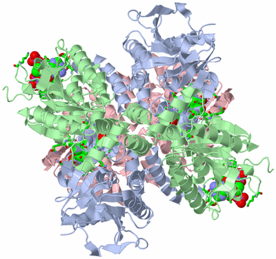 Image Biol. Unit 1 - sites