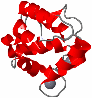 Image NMR Structure - model 1