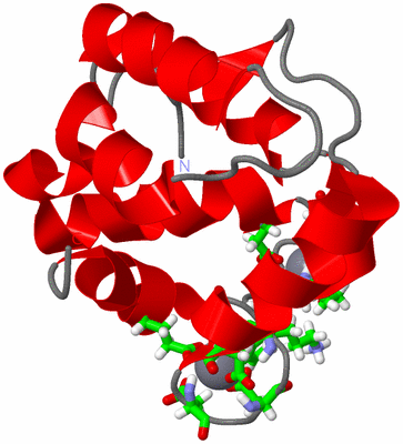 Image NMR Structure - model 1, sites