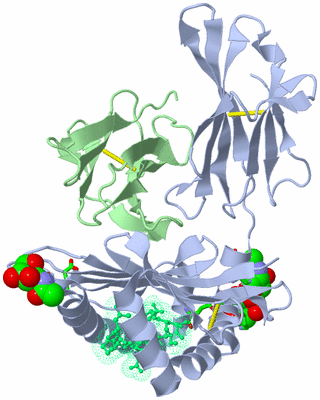 Image Asym./Biol. Unit - sites