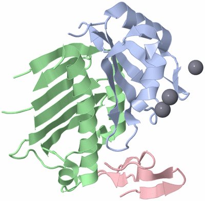 Image Asym./Biol. Unit