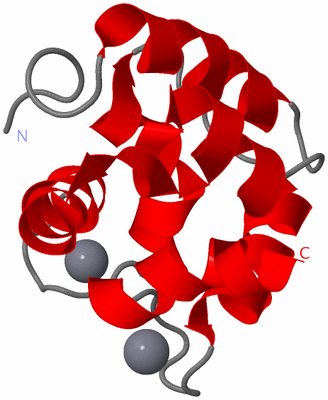 Image NMR Structure - model 1