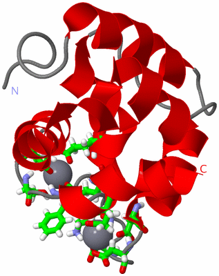 Image NMR Structure - model 1, sites