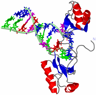 Image NMR Structure - model 1